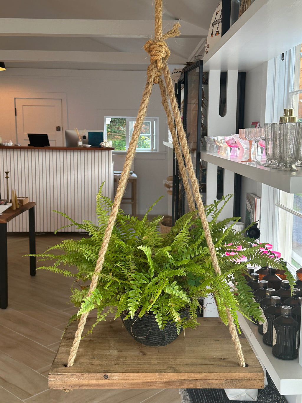 Plant Swing
