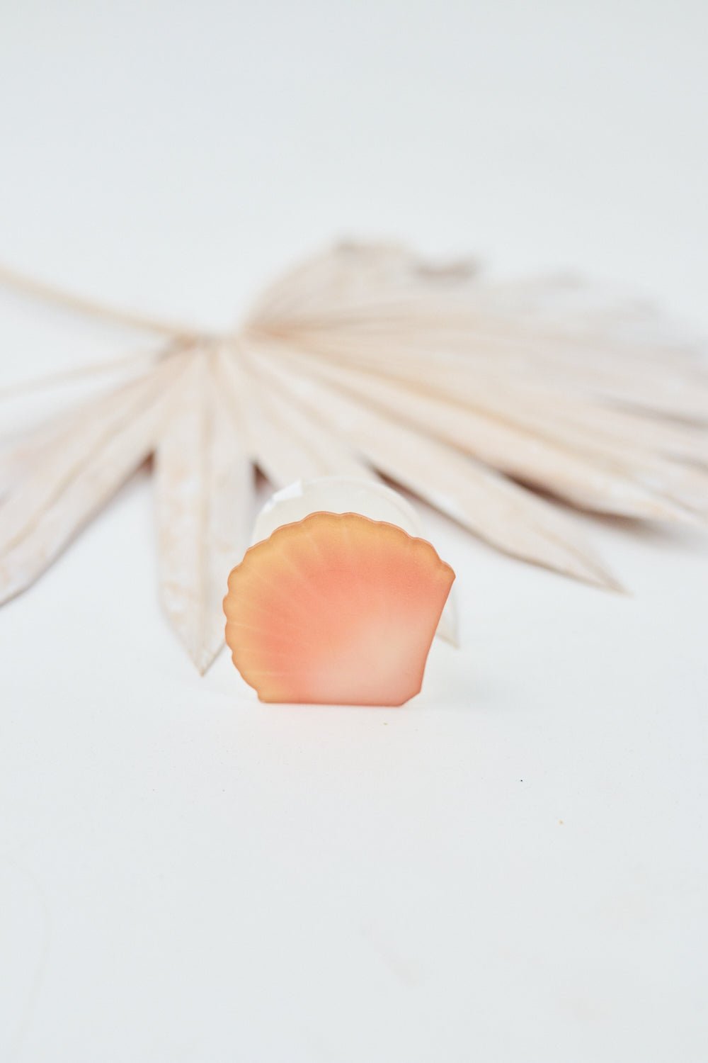 Sunrise Shell