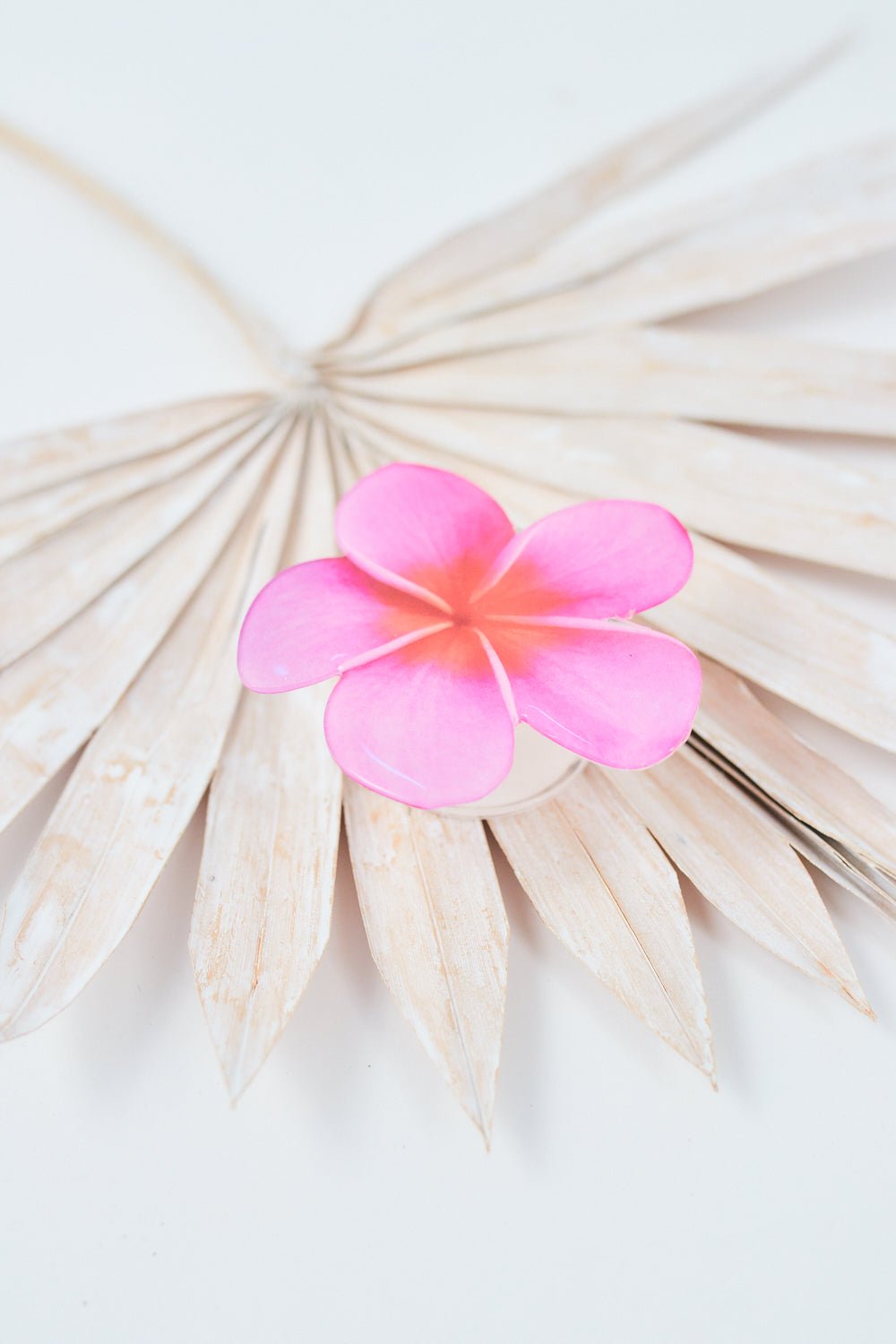 Pink Plumeria