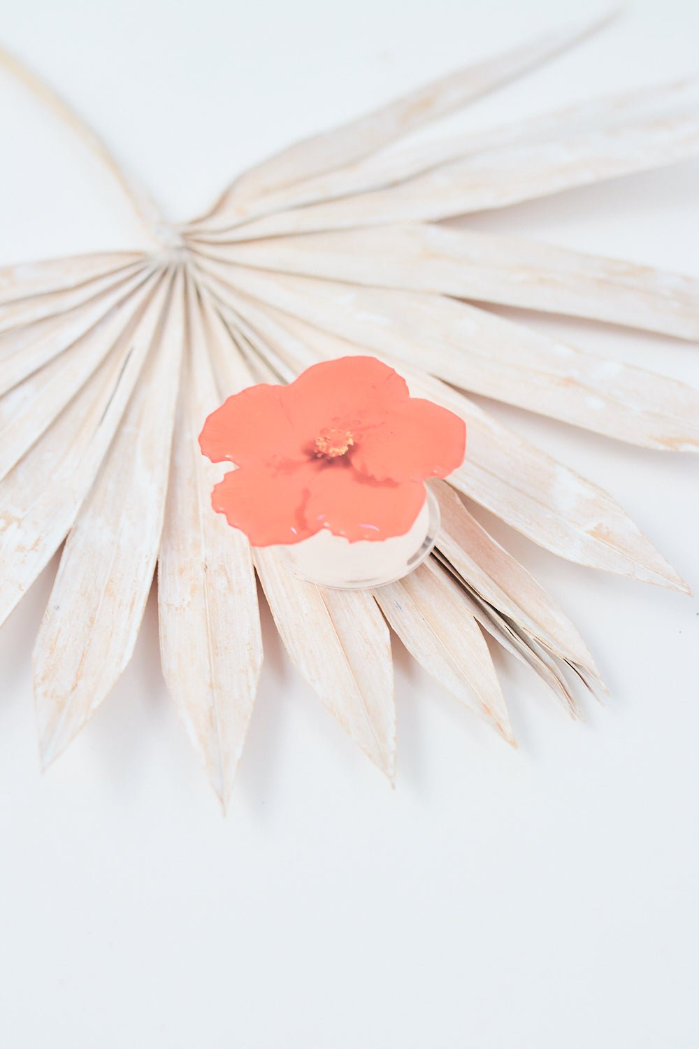 Red Hibiscus