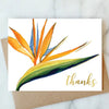 Greeting Cards - Driftwood Maui & Home By Driftwood