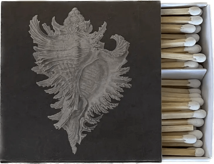 Shell Matches - Driftwood Maui & Home By Driftwood