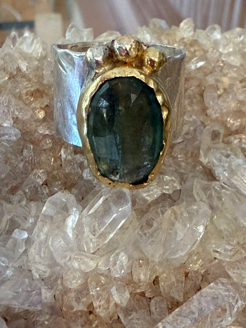 SigalLarge Aqua RingRing
