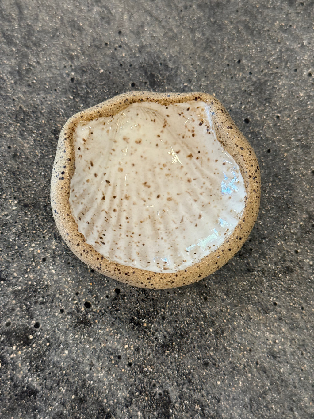 Ruth Moffatt CeramicsCeramic Seashell Trinket DishesTable top