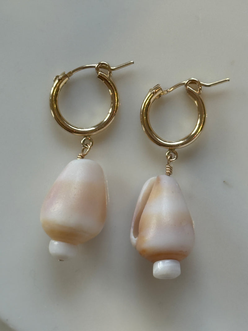 Cone Shell Hoops