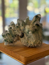 Tibetan Green Phantom Cluster