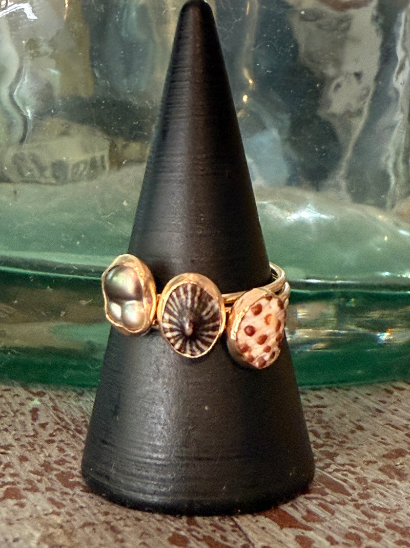 Opihi Pearl and Shell Stacking Rings