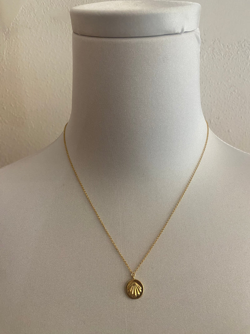 Shell Coin Pendant Shell Coin Pendant – Driftwood Maui & Coast By Driftwood