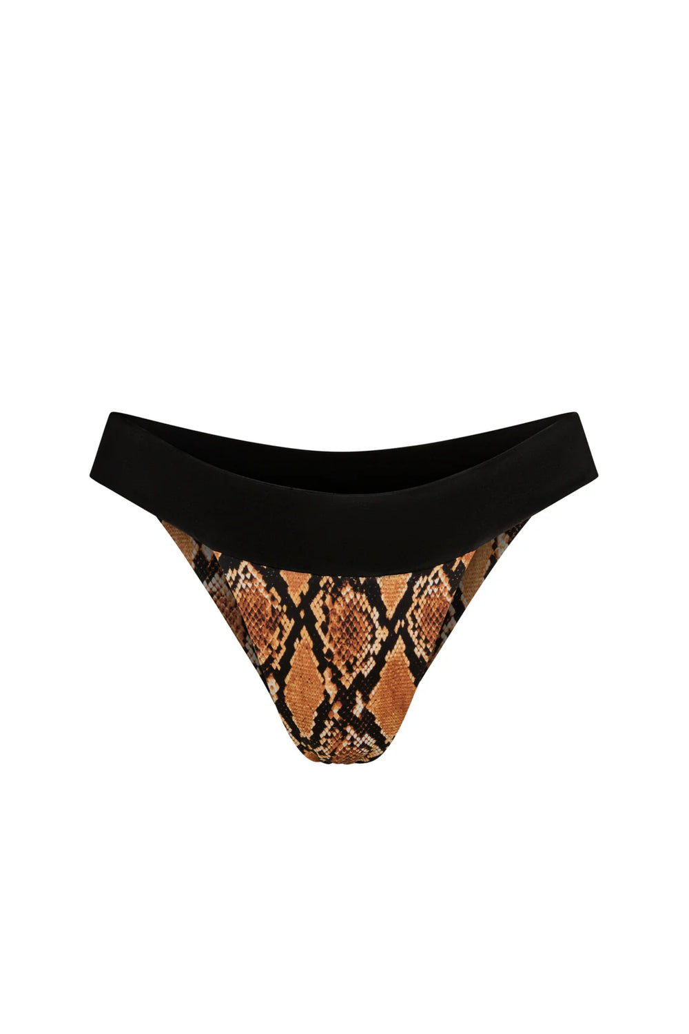 Bronze Python