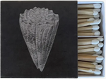 Shell Matches