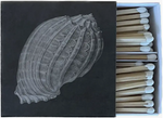 Shell Matches