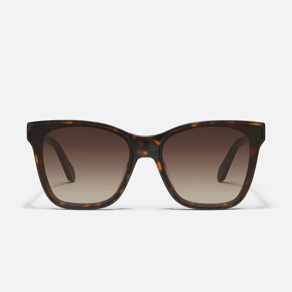 Neutral Tortoise Frame / Brown Lens