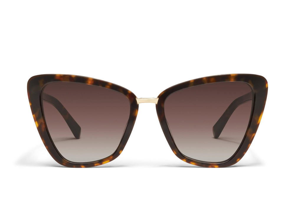 Neutral Tortoise/Brown