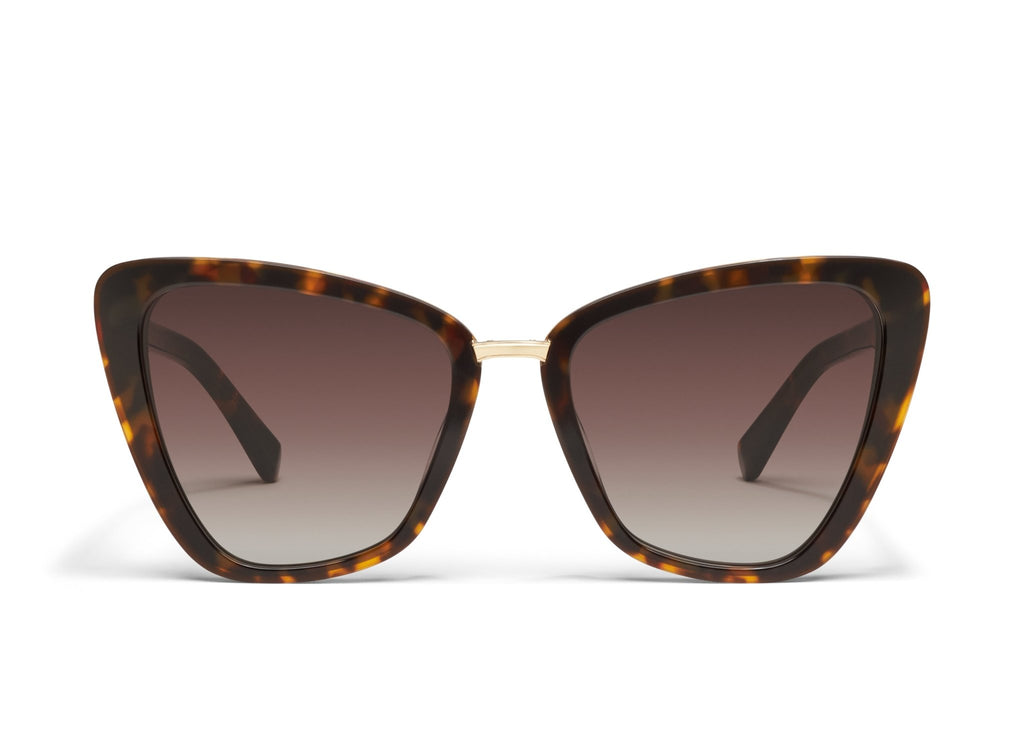 All Talk Neutral Tortoise Brown