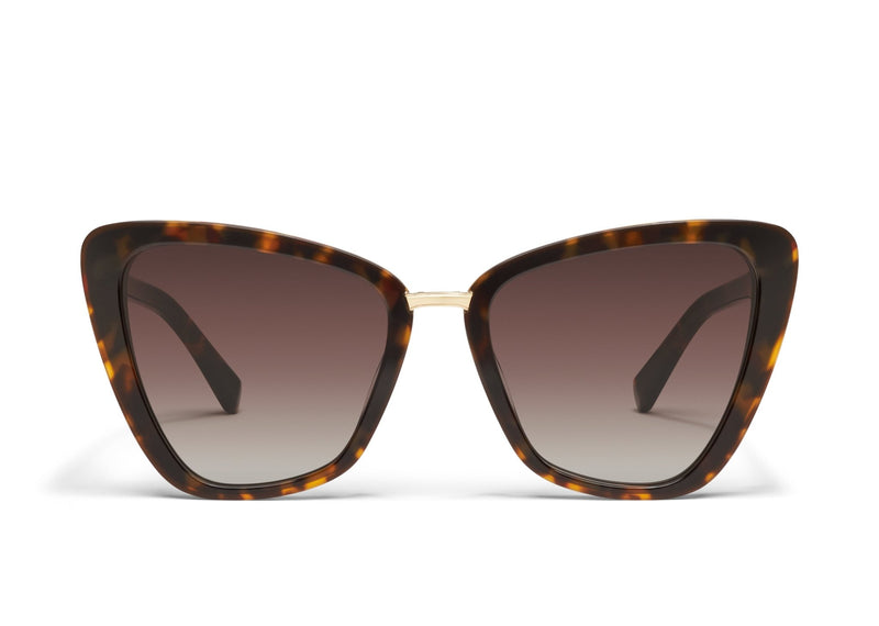 All Talk Neutral Tortoise Brown