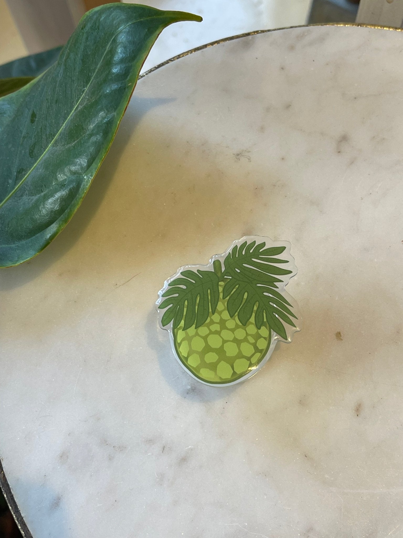 Aloha Pop Socket – Driftwood Maui & Coast By Driftwood