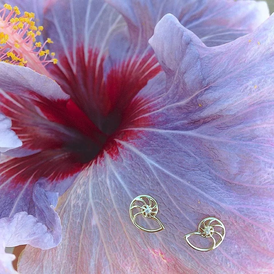 Anahera Nautilus Studs