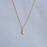 Conch Shell Pendant Necklace