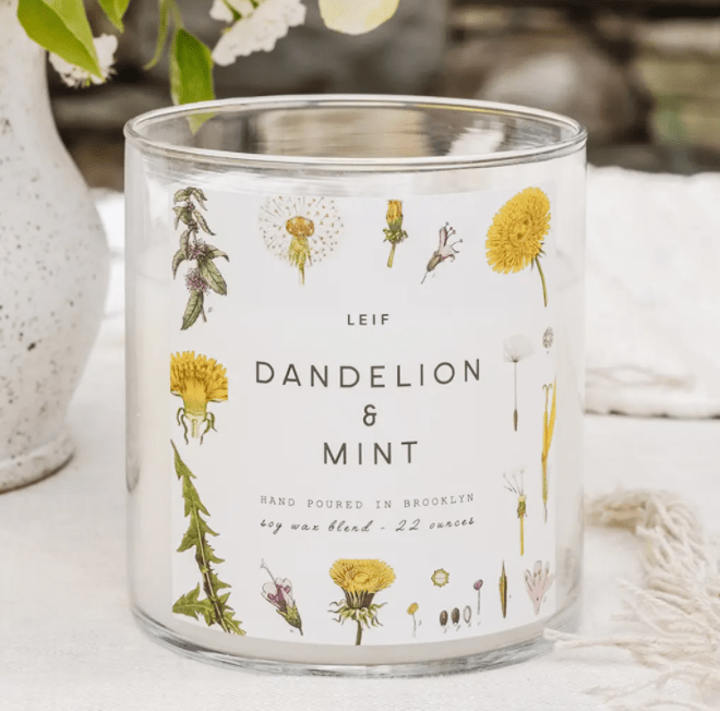 Dandelion & Mint Botanist Candle - Driftwood Maui & Home By Driftwood