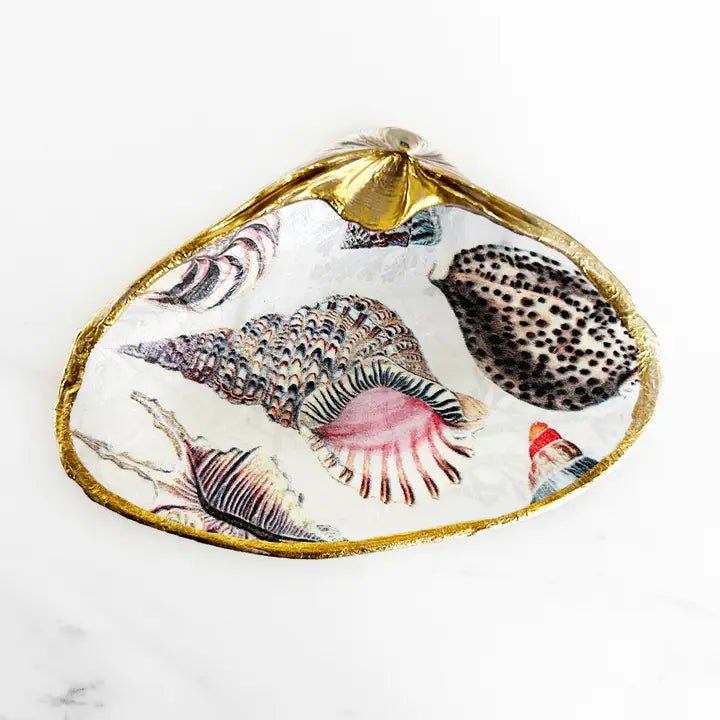 Seashell Collage #1