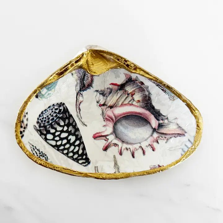 Seashell Collage #3