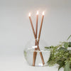 Everlasting Candles - Driftwood Maui & Home By Driftwood
