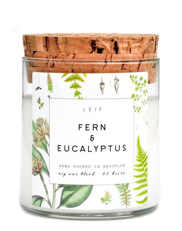 Fern & Eucalyptus Botanist Candle