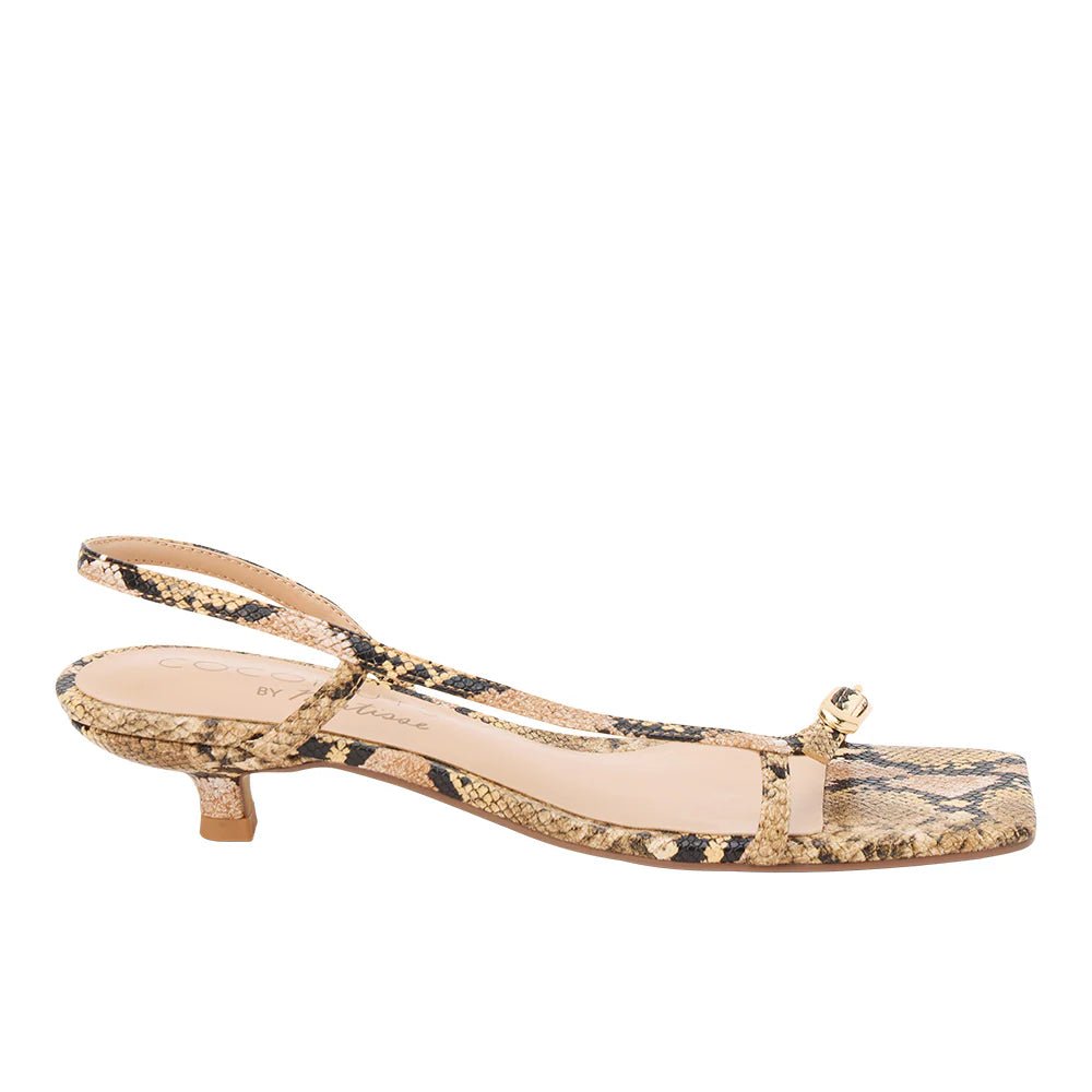 Tan Multi Snake