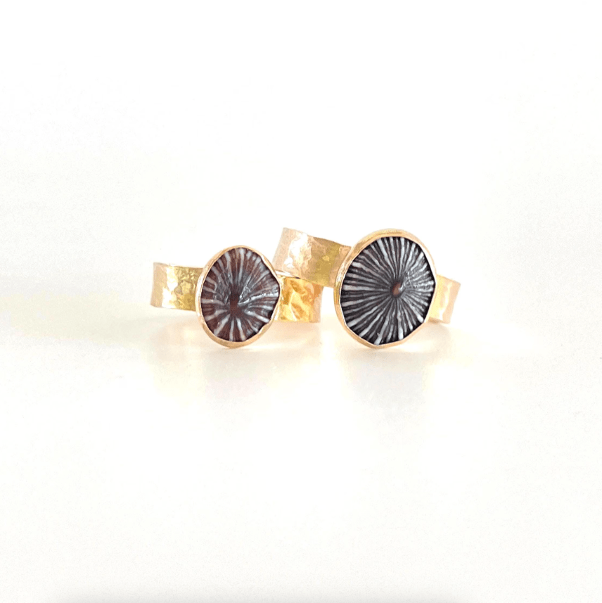 Ocean JazzFlat Band Opihi RingRing