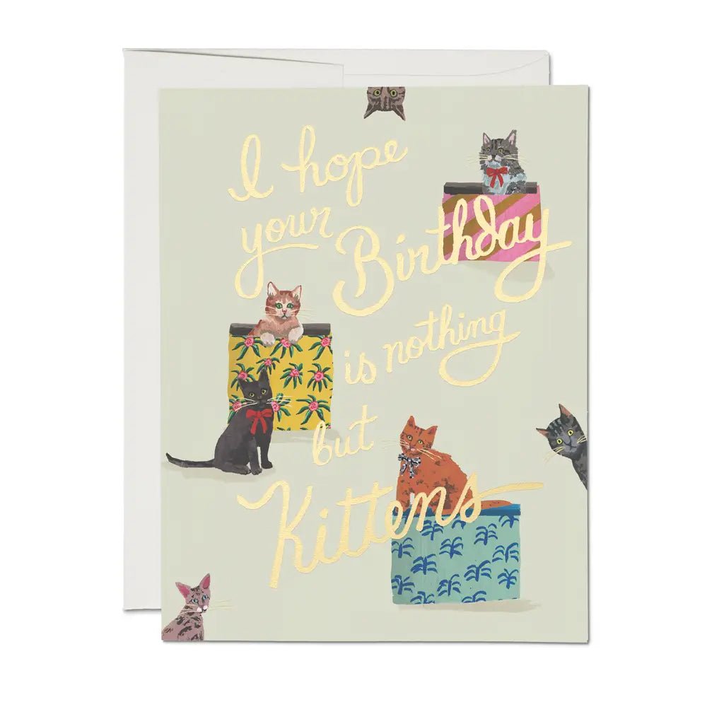 Nothing But Kittens Birthday
