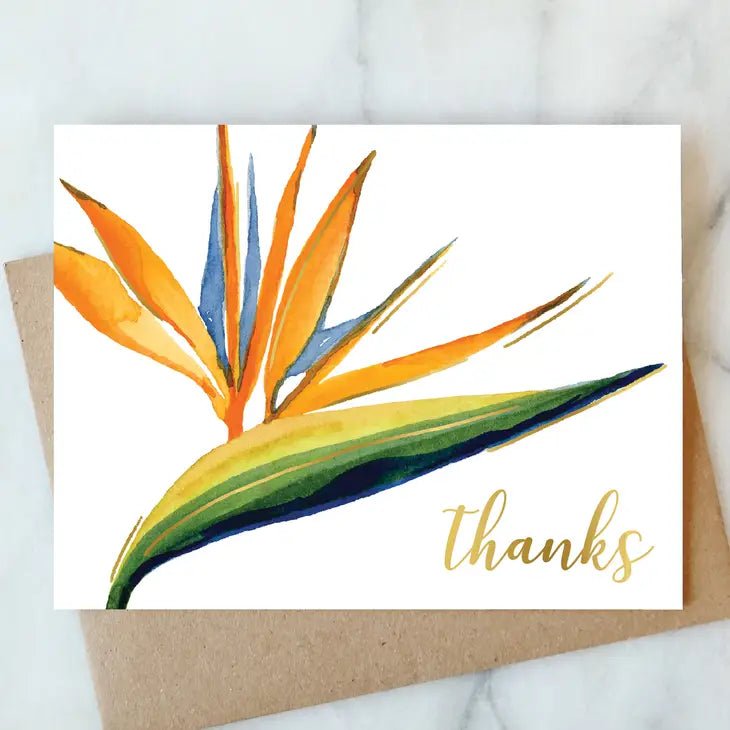 Greeting Cards