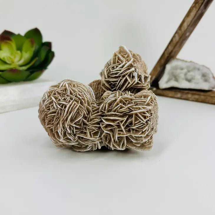 Gypsum Desert Rose Cluster - Driftwood Maui & Home By Driftwood