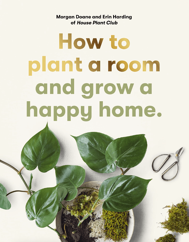 How To Plant A Room - Driftwood Maui & Home By Driftwood