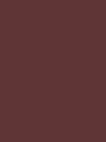 Solid "Bison" Color Swatch