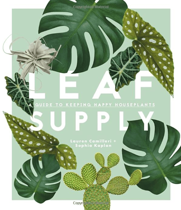 Leaf Supply - Driftwood Maui & Home By Driftwood