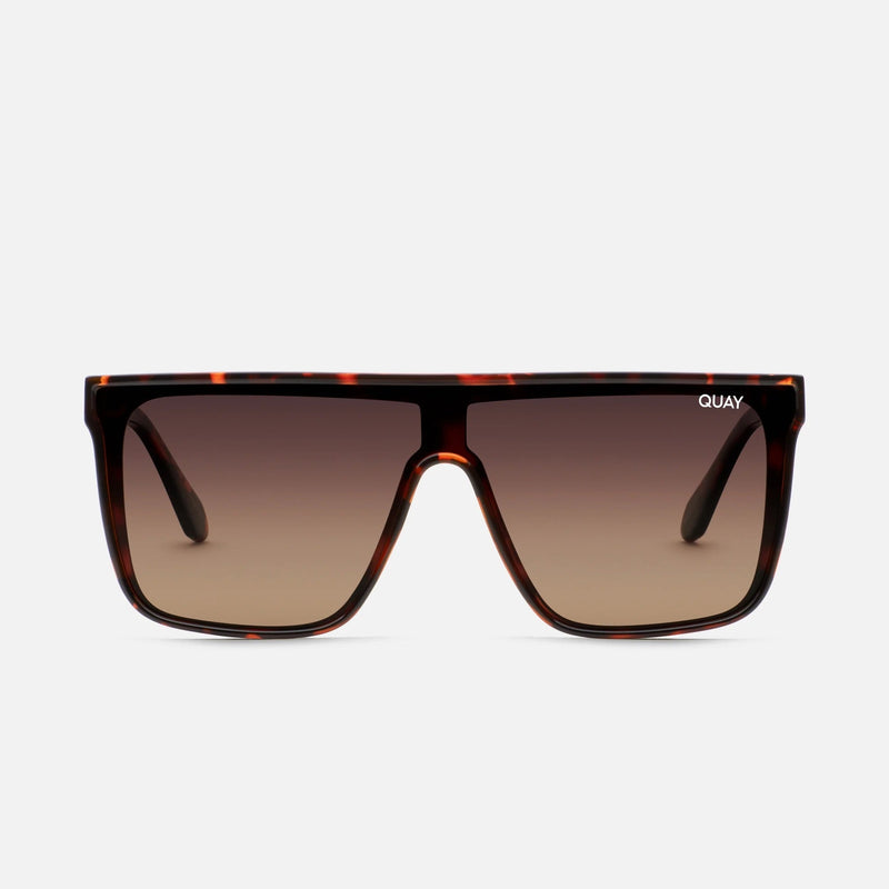 Nightfall Tortoise/ Brown Polarized
