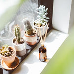 NO. 29: PIÑON REED DIFFUSER
