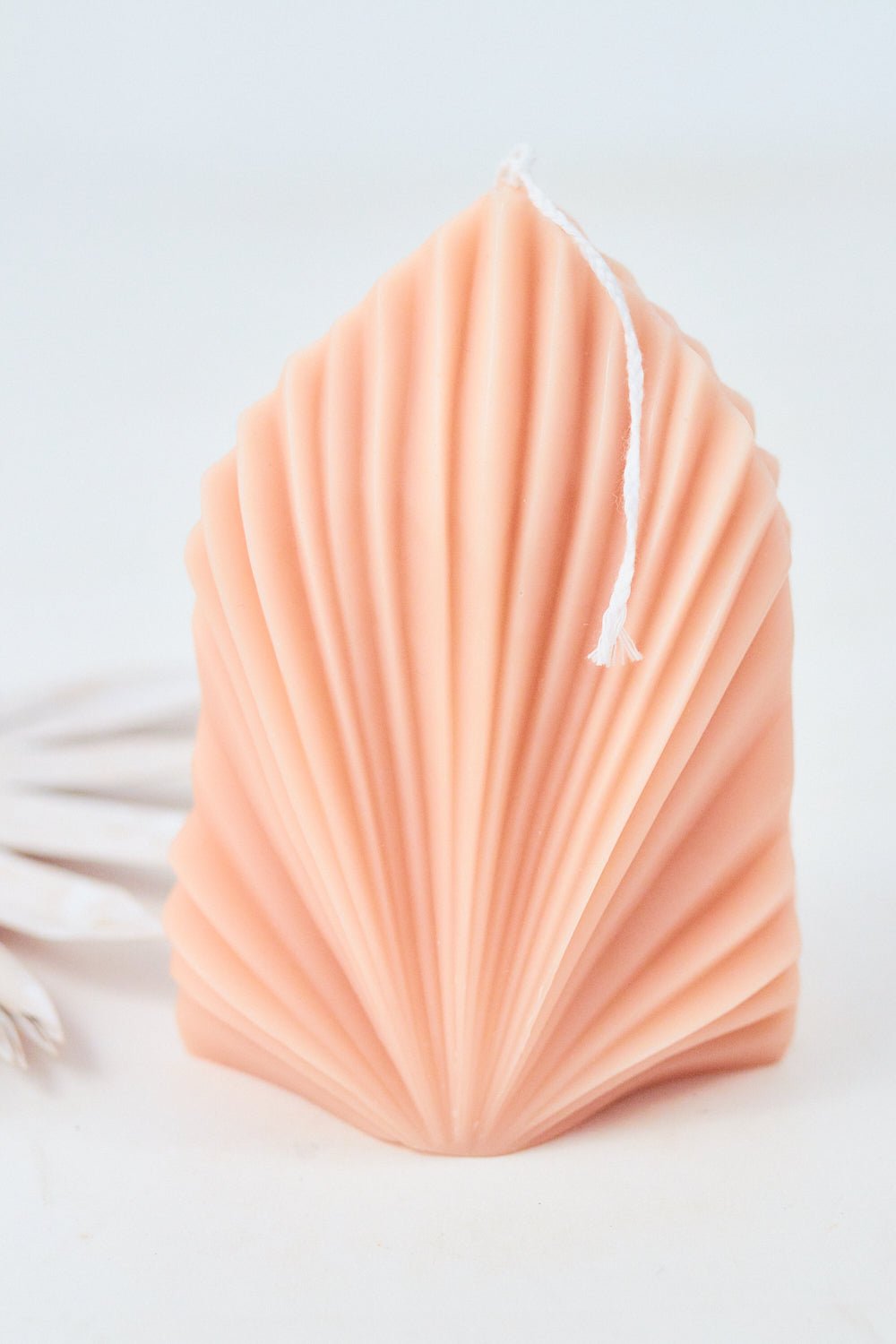 Palm Spear Fan Candle