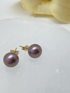 Pearl Studs