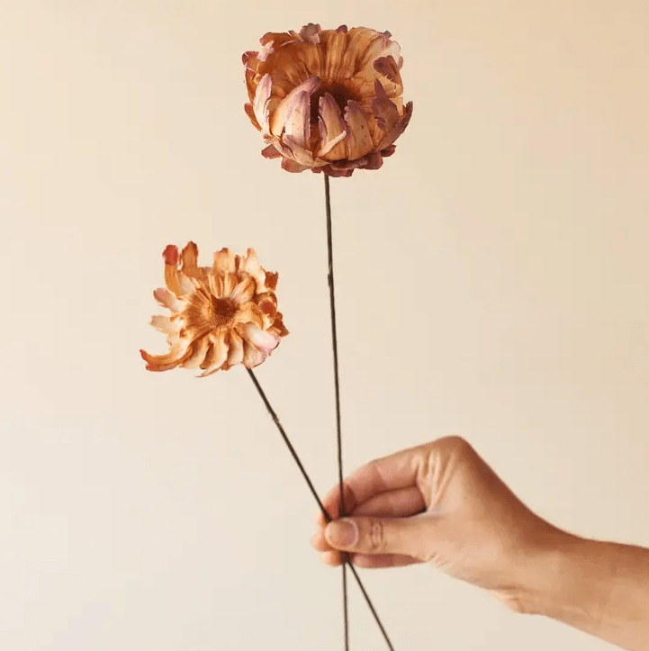 Phoenix Flower