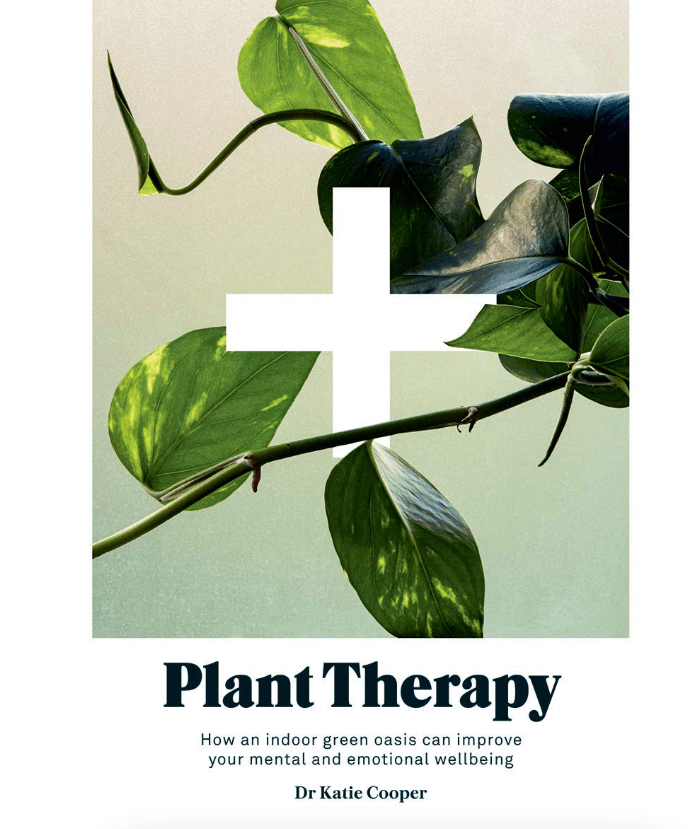 Plant Therapy - Driftwood Maui & Home By Driftwood
