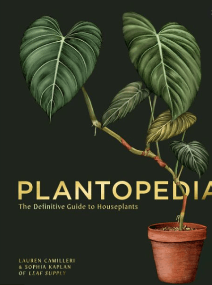 Plantopedia - Driftwood Maui & Home By Driftwood