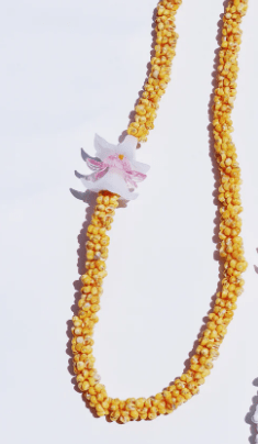 Pink and White Flower on Yellow Mongo