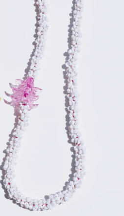 Pink Flower on White Mongo