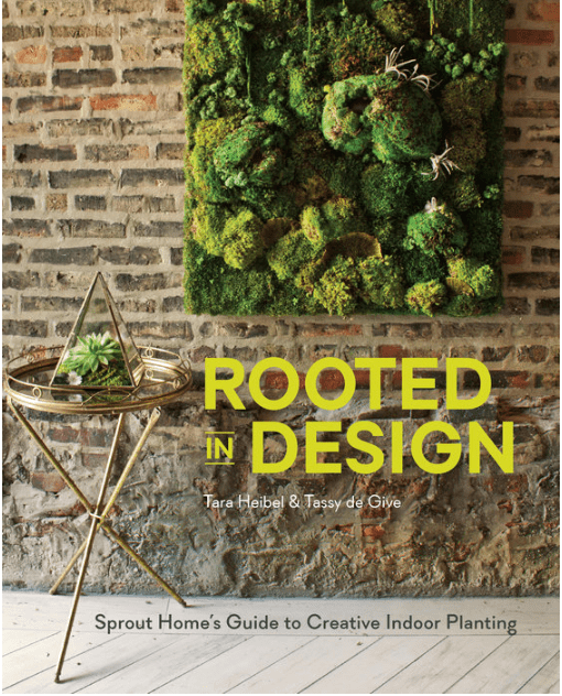 Rooted In Design