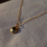 Scallop Shell Pendant