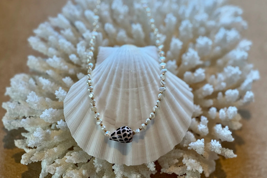 Ella May MauiShannon Shell NecklaceNecklaces