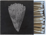 Shell Matches - Driftwood Maui & Home By Driftwood
