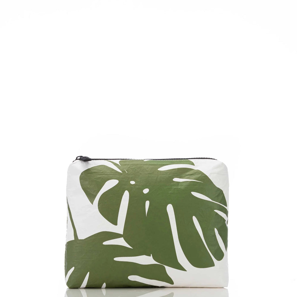 Monstera