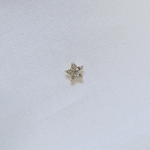 Star Stud Earring With Diamonds
